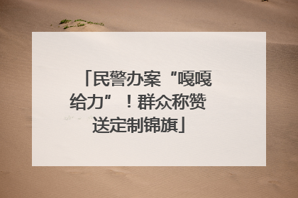 民警办案“嘎嘎给力”！群众称赞送定制锦旗