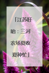 江苏盱眙：三河农场夏收夏种忙