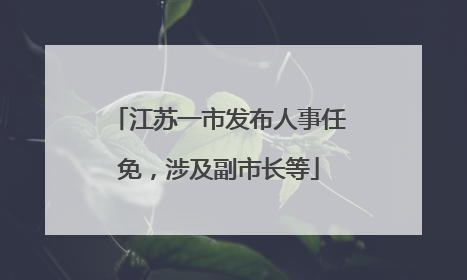 江苏一市发布人事任免，涉及副市长等