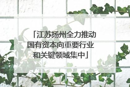 江苏扬州全力推动国有资本向重要行业和关键领域集中