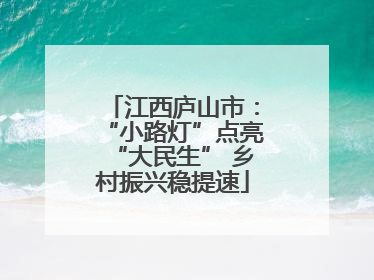 江西庐山市：“小路灯”点亮“大民生” 乡村振兴稳提速
