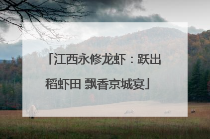 江西永修龙虾：跃出稻虾田 飘香京城宴