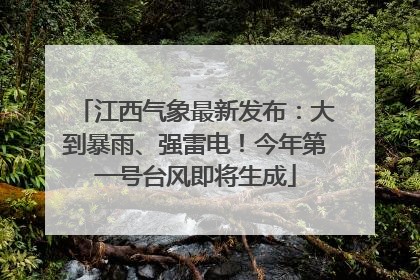 江西气象最新发布：大到暴雨、强雷电！今年第一号台风即将生成