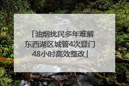 油烟扰民多年难解 东西湖区城管4次登门48小时高效整改
