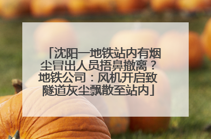沈阳一地铁站内有烟尘冒出人员捂鼻撤离？地铁公司：风机开启致隧道灰尘飘散至站内