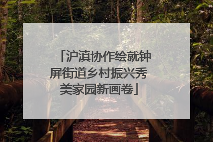 沪滇协作绘就钟屏街道乡村振兴秀美家园新画卷