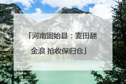 河南固始县：麦田翻金浪 抢收保归仓