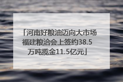 河南好粮油迈向大市场 福建粮洽会上签约38.5万吨揽金11.5亿元