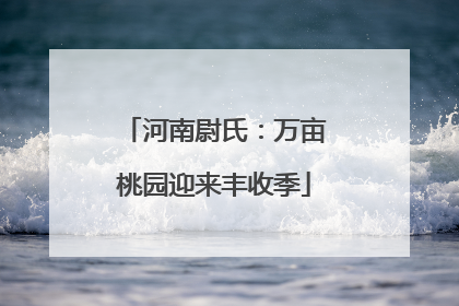 河南尉氏：万亩桃园迎来丰收季