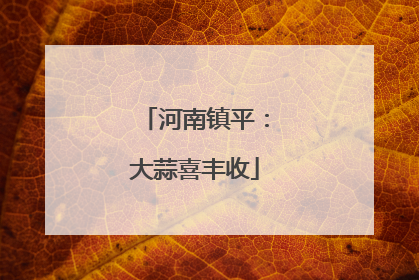 河南镇平：大蒜喜丰收