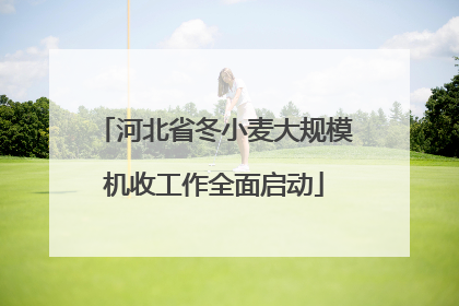 河北省冬小麦大规模机收工作全面启动