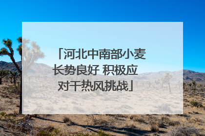 河北中南部小麦长势良好 积极应对干热风挑战