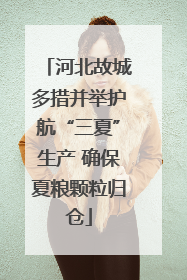 河北故城多措并举护航“三夏”生产 确保夏粮颗粒归仓
