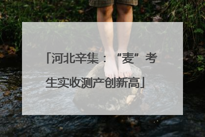 河北辛集：“麦”考生实收测产创新高