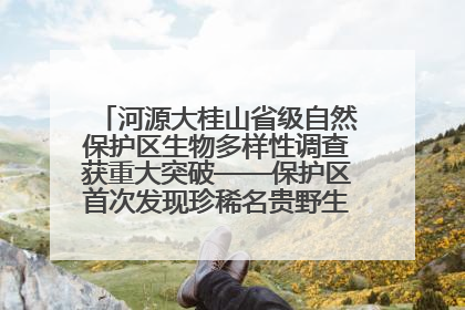 河源大桂山省级自然保护区生物多样性调查获重大突破——保护区首次发现珍稀名贵野生干巴菌与钝尾两头蛇