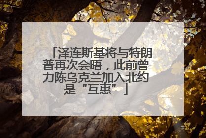 泽连斯基将与特朗普再次会晤，此前曾力陈乌克兰加入北约是“互惠”