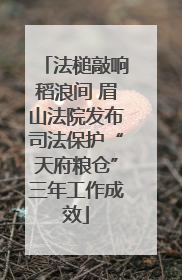 法槌敲响稻浪间 眉山法院发布司法保护“天府粮仓”三年工作成效