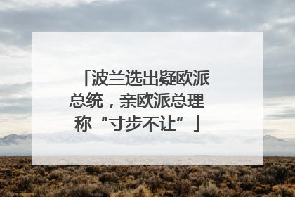 波兰选出疑欧派总统，亲欧派总理称“寸步不让”
