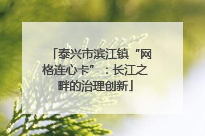 泰兴市滨江镇“网格连心卡”：长江之畔的治理创新