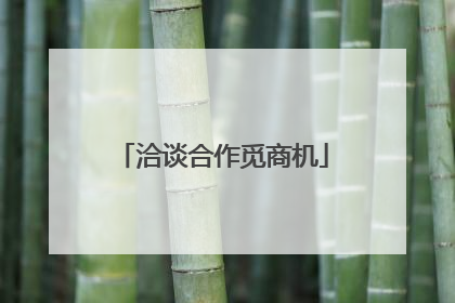 洽谈合作觅商机