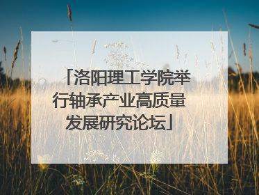 洛阳理工学院举行轴承产业高质量发展研究论坛