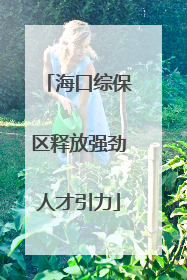 海口综保区释放强劲人才引力