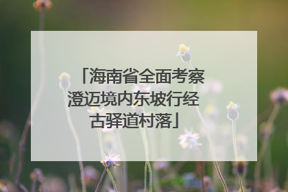 海南省全面考察澄迈境内东坡行经古驿道村落