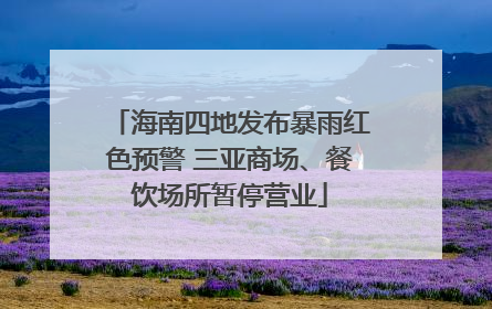 海南四地发布暴雨红色预警 三亚商场、餐饮场所暂停营业