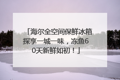 海尔全空间保鲜冰箱探享一城一味，冻鱼60天新鲜如初！
