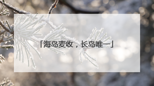 海岛麦收，长岛唯一