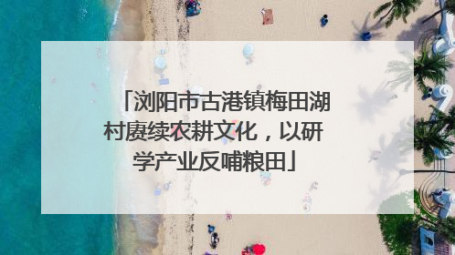 浏阳市古港镇梅田湖村赓续农耕文化，以研学产业反哺粮田