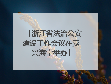 浙江省法治公安建设工作会议在嘉兴海宁举办