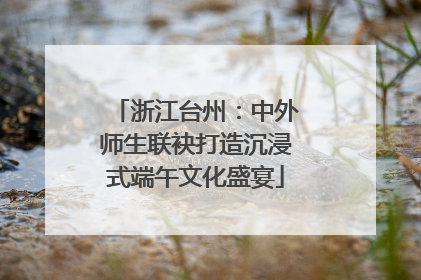 浙江台州：中外师生联袂打造沉浸式端午文化盛宴