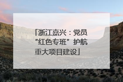 浙江嘉兴：党员“红色专班”护航重大项目建设