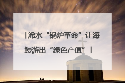浠水“锅炉革命”让海鳗游出“绿色产值”