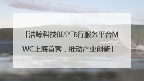 浩鲸科技低空飞行服务平台MWC上海首秀，推动产业创新