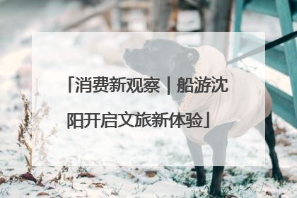 消费新观察｜船游沈阳开启文旅新体验
