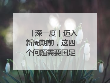 深一度｜迈入新周期前，这四个问题需要国足给出答案