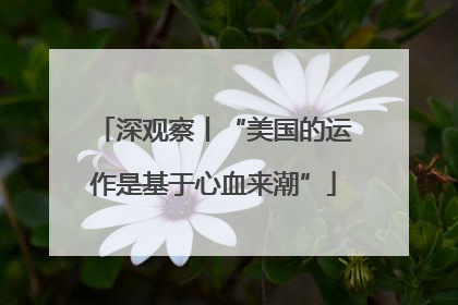 深观察丨“美国的运作是基于心血来潮”