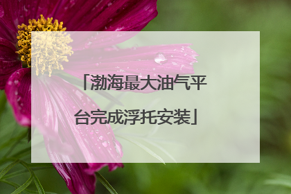 渤海最大油气平台完成浮托安装