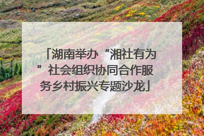 湖南举办“湘社有为”社会组织协同合作服务乡村振兴专题沙龙