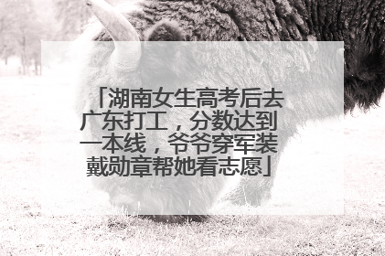 湖南女生高考后去广东打工，分数达到一本线，爷爷穿军装戴勋章帮她看志愿