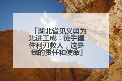 湖北省见义勇为先进王成：徒手握住利刃救人，这是我的责任和使命