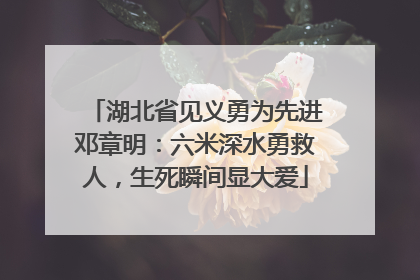 湖北省见义勇为先进邓章明：六米深水勇救人，生死瞬间显大爱