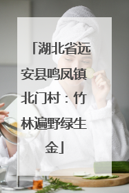 湖北省远安县鸣凤镇北门村：竹林遍野绿生金