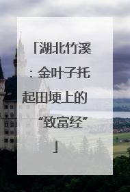湖北竹溪：金叶子托起田埂上的“致富经”