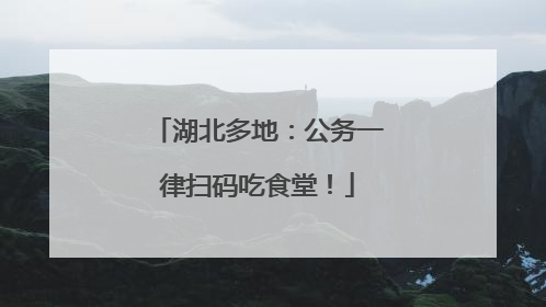 湖北多地：公务一律扫码吃食堂！