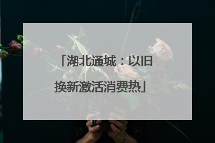 湖北通城：以旧换新激活消费热