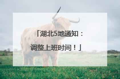 湖北5地通知：调整上班时间！