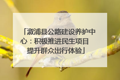 溆浦县公路建设养护中心：积极推进民生项目 提升群众出行体验